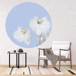Bloemen Behangcirkel Orchidee