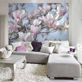 Fotobehang Magnolia