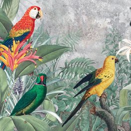 Papegaaien jungle fotobehang