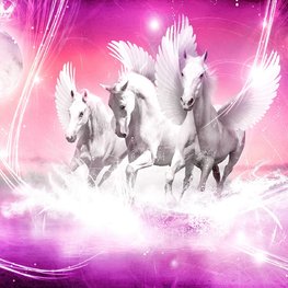 Paarden fotobehang Pegasus roze