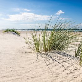 Strand fotobehang Helm