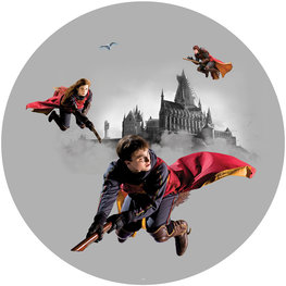 Harry Potter muurcirkel Quidditch