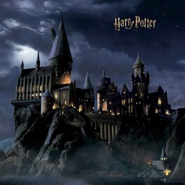 Harry Potter behang Hogwarts P4