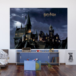 Harry Potter fotobehang Hogwarts L