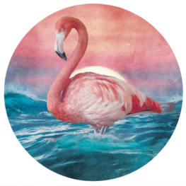 Behangcirkel Flamingo II