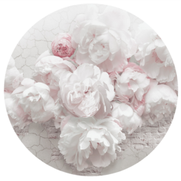 Bloemen Behangcirkel Witte Pioenrozen
