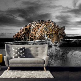 Jungle fotobehang Jaguar zwart-wit kleur