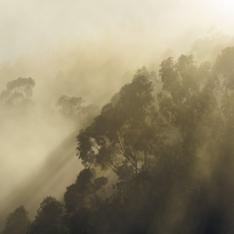 Misty Mountain fotobehang - SH