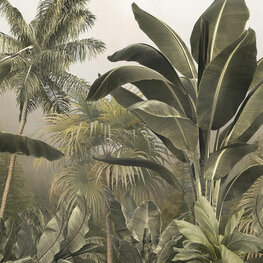 Tropische jungle bladeren behang