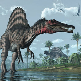 Spinosaurus Dinosaurus behang VINYL