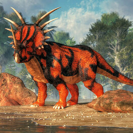 Styracosaurus Dinosaurus behang VINYL