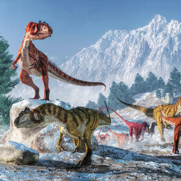 Allosaurus Dinosaurus behang VINYL