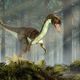 Coelophysis Dinosaurus behang VINYL