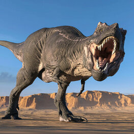 Dinosaurus T-Rex behang VINYL