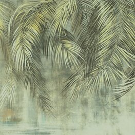 Palmbladeren fotobehang Palm Fronds
