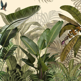 Tropische planten fotobehang VINYL