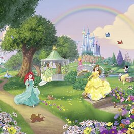 Disney Princess fotobehang Rainbow