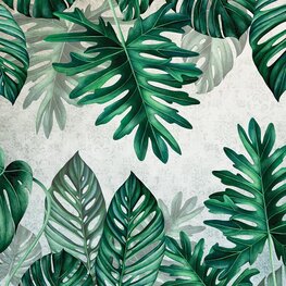 Botanisch behang Monstera bladeren groen