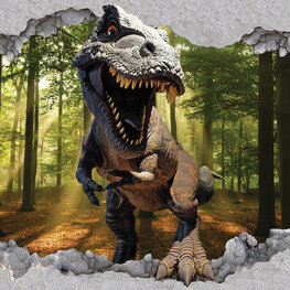 Dinosaurus T-Rex fotobehang 3D Bos