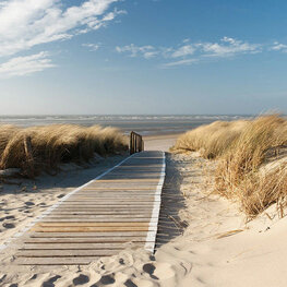 Strand fotobehang Loopplank