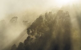 Misty Mountain fotobehang - SH