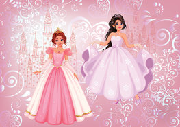 Prinsessen behang Roze