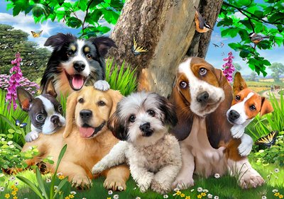 escaleren Werkwijze voor het geval dat Selfie fotobehang Hondjes in de tuin | Muurdeco4kids